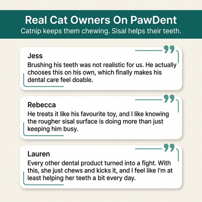 PawDent™ Dental Pillow