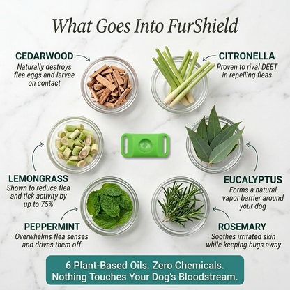 Protect Your Dog From Ticks and Fleas with FurShield™