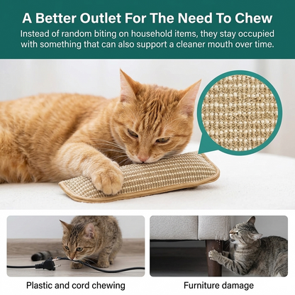 PawDent™ Dental Pillow