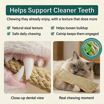 PawDent™ Dental Pillow